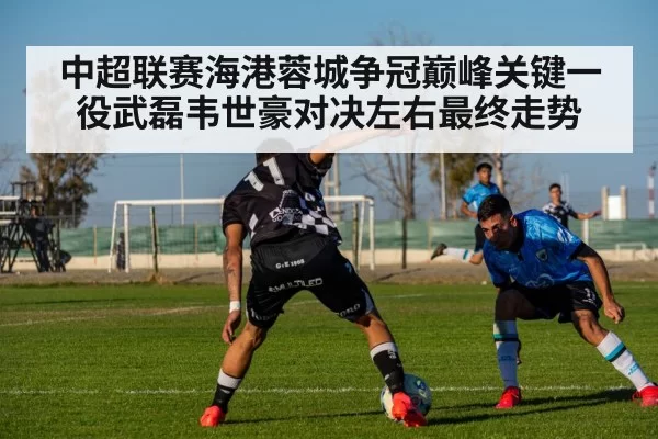 中超联赛海港蓉城争冠巅峰关键一役武磊韦世豪对决左右最终走势